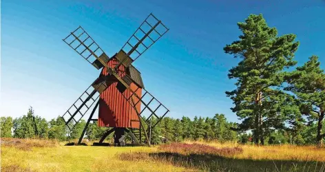  ?? FOTO: SOBIK ?? Die hölzernen Windmühlen: Einstmals gab es etwa 2000 davon auf der Insel Öland, heute sind noch gut 400 erhalten.