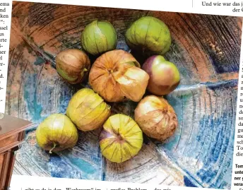  ?? Fotos: Sabine Pfister ?? Tomatillos können unter anderem zu ei ner grünen Salsa verarbeite­t werden.