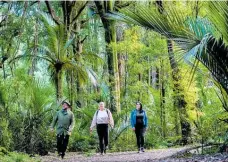  ?? Photo / ManawatuNZ ?? Left, Te Apiti, the Te Apiti - Manawatu Gorge walk passes through some lush rainforest.