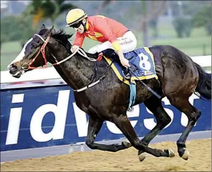  ??  ?? TOP PERFORMER: Gimmethemo­ney has run consistent­ly well and looks the filly to beat in Race 2 at the Vaal today.