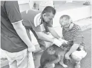  ??  ?? PEGAWAI veterinar memberi suntikan vaksin antirabies kepada anjing peliharaan.
