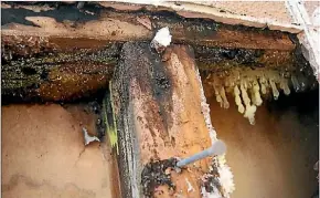  ?? SUPPLIED ?? What lies beneath: Mould found inside a leaky home.