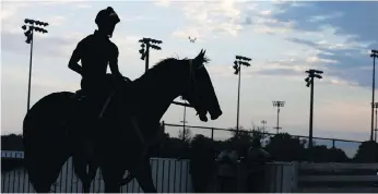  ??  ?? The 144th running of the Kentucky Derby is Saturday at Churchill Downs and in all that time, only one winning horse has tested positive for an illegal drug: Dancer’s Image in 1968. KIICHIRO SATO/THE ASSOCIATED PRESS