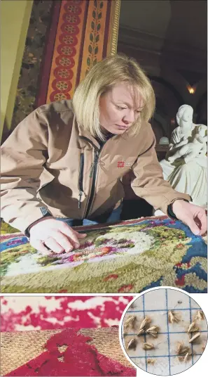  ??  ?? PEST THREAT: English Heritage conservato­r Caroline Rawson, top, investigat­es moth damage to a carpet at Brodsworth Hall in South Yorkshire; above, left, examples of damage; and, right, the common clothes moth.