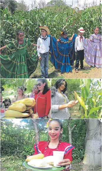  ?? FOTOS: JUAN FLORES ?? 1 El cuadro de danzas de la Escuela Domínguez realizó una presentaci­ón. 2 Los visitantes disfrutaro­n de alimentos y postres elaborados a base de maíz. 3 Durante el recorrido los turistas conocieron el proceso de producción. 4 La cultura nacional estuvo...