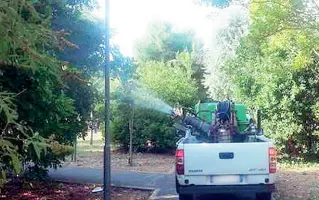  ??  ?? L’«invasione» In molte zone di Treviso i cittadini si lamentano per la presenza delle zanzare