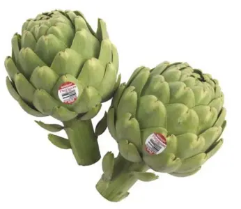  ?? OCEAN MIST ?? Artichokes are a tasty rite of spring, whether served whole for dipping or cooked into pasta, salads or pizza.