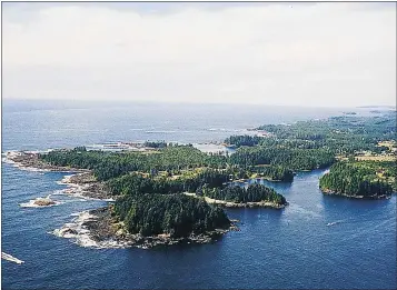  ?? — PNG FILES ?? A contaminat­ed sample found at a dock near Ucluelet on Feb. 19 was shown to have minuscule traces of radioactiv­e isotopes from the Fukushima disaster.