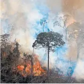  ?? CARL DE SOUZA AFP VIA GETTY IMAGES ?? Deforestat­ion in Brazil's Amazon rainforest rose by almost 22 per cent from August 2020 to July 2021.