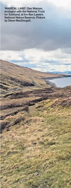  ??  ?? ‘MAGICAL LAND’: Dan Watson, ecologist with the National Trust for Scotland, at the Ben Lawers National Nature Reserve. Picture by Steve Macdougall.