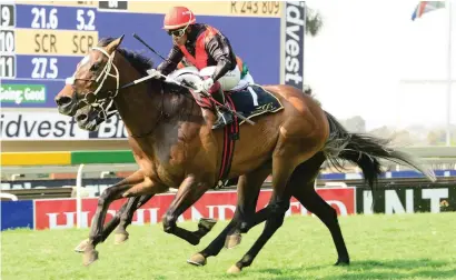  ?? Picture: JC Photograph­ics. ?? NAP: Loyal Lieutenant, pictured winning over 1600m at Turffontei­n in September, returns from a rest but has the class to win Race 6 at the Vaal tomorrow.