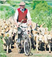  ??  ?? Fanshawe exercises his hounds in the build-up to a new hunting season: he argued strongly that registered hunting was the most humane form of wildlife control