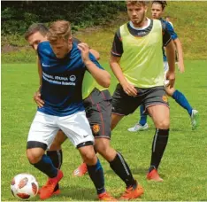  ?? Foto: Ilse Riedel ?? Der FV Gerlenhofe­n (im blauen Trikot Andre Babutzka) wehrte sich nach Kräften. Aber gegen den SV Jungingen war nichts zu machen.