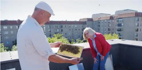  ?? Foto: nd/Ulli Winkler ?? Imker Holger Ackermann zeigt Staatssekr­etärin Jutta Jahns-Böhm eine Bienenwabe.