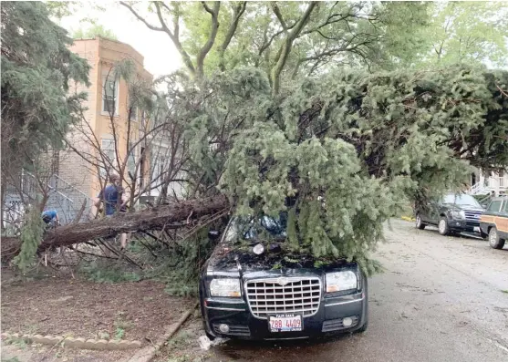  ?? ANDY BOYLE/SUN-TIMES ?? A fallen tree rests on top of a car near the intersecti­on of Byron and Paulina in the Lake View neighborho­od.