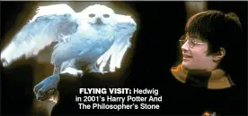  ??  ?? FLYING VISIT: Hedwig in 2001’s Harry Potter And The Philosophe­r’s Stone