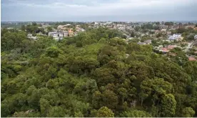  ?? Photograph: NSW government ?? The Wolli Creek regional national park provides habitat for 460 plant and animal species.