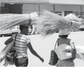  ??  ?? Many women have overcome traditiona­l notions of gender by becoming breadwinne­rs in their homes and providing primary financial support for their families. The picture taken along the streets of Bulawayo shows two women selling brooms for a living