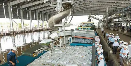  ?? Photo courtesy of DCM ?? Fertiliser products of Petro Việt Nam Cà Mau Fertilizer JSC (DCM) being processed. In Q1 this year, DCM recorded a 33 per cent decrease in revenue and a 85 per cent decrease in profit after tax compared to the same period in 2022.