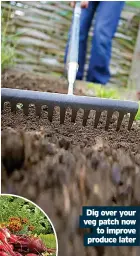  ??  ?? Dig over your veg patch now
to improve produce later