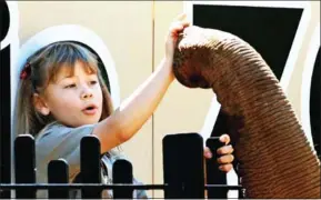  ?? AFP ?? A tusker’s proboscis can also switch to vacuum mode to eat, with suction power ranging from faint to ferocious.