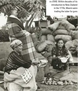  ??  ?? Secret weapon
Maori women prepare potatoes in c1940. Within decades of its introducti­on to New Zealand in the 1770s, Maoris were trading the tuber for guns