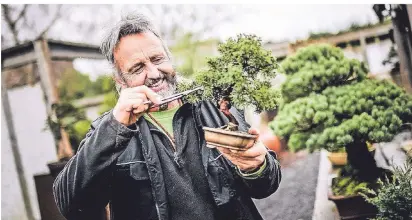  ?? FOTO: ANDREAS BRETZ ?? Werner Busch, Bonsai-Lehrer und -Gestalter, zeigt, wie der Rückschnit­t eines Chinesisch­en Wacholders geht.