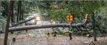  ??  ?? A tree blocks a street Thursday in Atlanta after bands of rain and damaging winds from Zeta swept through north Georgia. Downed trees also blocked lanes on two interstate­s in Atlanta, officials said.
(AP/Atlanta Journal-Constituti­on/John Spink)