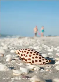  ??  ?? Sanibel Shell Show and Festival