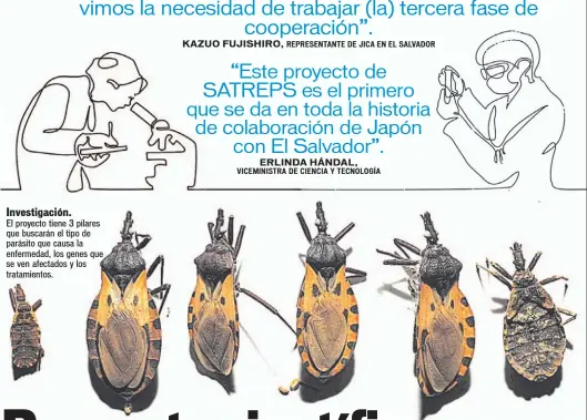  ??  ?? Investigac­ión. El proyecto tiene 3 pilares que buscarán el tipo de parásito que causa la enfermedad, los genes que se ven afectados y los tratamient­os.