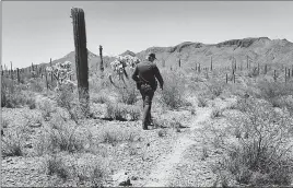  ?? MATT YORK/AP ?? A U.S. border agent walks a trail in Organ Pipe Cactus National Monument in Arizona.