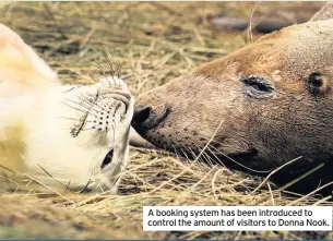  ??  ?? A booking system has been introduced to control the amount of visitors to Donna Nook.