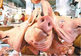  ??  ?? Las procesador­as de carne de cerdo iniciarán operación en verano.