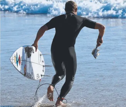  ?? Picture: LEISA OAKES ?? Champion surfer Mick Fanning returns a standed bream to the water at Snapper Rocks yesterday.