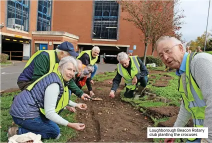  ?? ?? Loughborou­gh Beacon Rotary club planting the crocuses