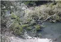  ?? BENNY RODRÍGUEZ/LISTÍN DIARIO ?? Daño al ambiente. Desconocid­os depredaron el balneario "La Sequía".