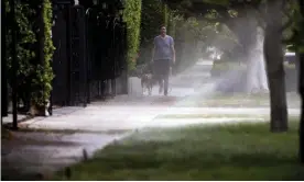  ?? Photograph: Étienne Laurent/EPA ?? Sprinklers water a patch of grass in Los Angeles. The city’s mayor has ordered businesses and residents to restrict watering to two days a week.