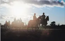  ?? JULIE JOCSAK THE ST. CATHARINES STANDARD ?? Horses make their way to the starting gate for the running of the 82nd Prince of Wales Stakes at Fort Erie Race Track on July 25, 2017.