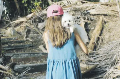  ?? Suministra­da ?? LA TRAMA. En medio de la crisis por la devastació­n del huracán María, la adopción de un perrito le cambia la vida a varias familias.
