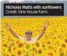  ??  ?? Nicholas Watts with sunflowers Credit: Vine House Farm