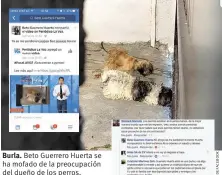  ??  ?? Burla. Beto Guerrero Huerta se ha mofado de la preocupaci­ón del dueño de los perros.
se presentará en el Ministerio Público de Monclova para interponer por segunda ocasión una demanda por los delitos de extorsión, robo y maltrato animal, pues...