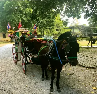  ??  ?? horse-drawn carriage in Lampang; afternoon tea on the verandah at 137 Pillars; the pool at the hotel and riverside dining in Chiang Mai