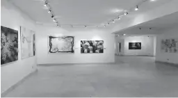  ??  ?? La Galerie Nadaud de l’espace Art Sadika de Gammarth abrite, jusqu’au 13 décembre 2018, les nouveaux travaux de l’artiste tunisien Samir Makhlouf