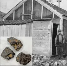  ?? ?? Courtesy of the Carrie M. McLain Memorial Museum TIN TREASURE— A man stands outside a lumber building sheltered against the side of a hill at Tin City around 1910, NMP-20-125. A trio of tin nuggets mined at Tin City on the Seward Peninsula, 2016.1.435.