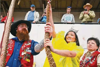  ?? Charlie Blalock/ Contributo­r ?? Miss Texas Averie Bishop guts a snake at the annual Sweetwater rattlesnak­e roundup earlier this month. It has become a tradition for Miss Texas to take part in the event that draws tens of thousands of people every year.