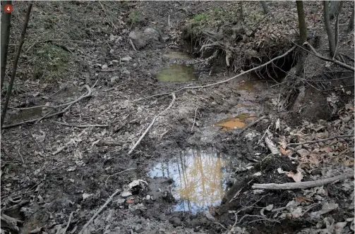  ??  ?? 4
4.
La conoscenza del luogo è fondamenta­le: la vicinanza a pozze d’acqua e insogli oppure a passaggi obbligati o possibili rimesse rende il punto di attrazione attivo sin da subito