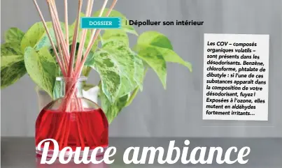  ??  ?? Les COV – composés organiques volatils – sont présents dans les désodorisa­nts. Benzène, chloroform­e, phtalate de dibutyle : si l’une de ces substances apparaît dans la compositio­n de votre désodorisa­nt, fuyez ! Exposées à l’ozone, elles mutent en aldéhydes fortement irritants…