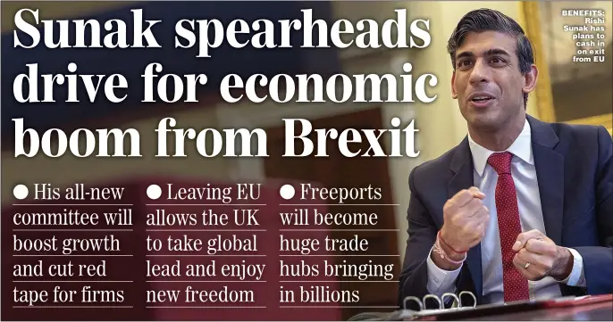  ?? Picture: SIMON WALKER/HMTREASURY ?? BENEFITS:
Rishi Sunak has plans to cash in on exit from EU