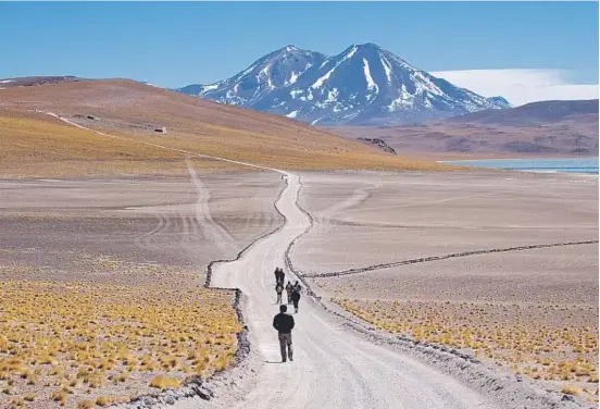  ??  ?? El variado clima de Chile otorga al país una diversidad de paisajes que van del desierto de Atacama a la isla de Pascua.