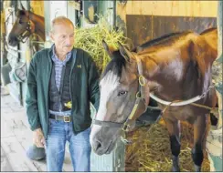  ?? Skip dickstein / Special to the times union ?? two-year-old colt tiz the Law, tended to by trainer Barclay tagg, will race in the Kentucky Jockey Club on nov. 30.